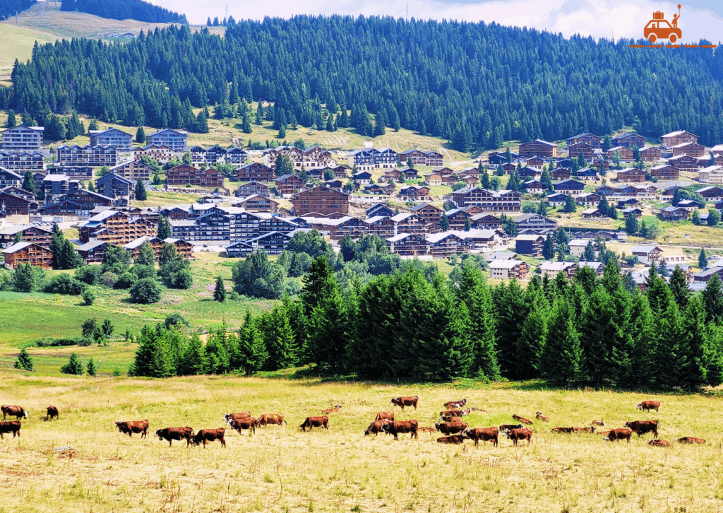 Les Saisies : une station avec de jolis chalets et de nombreuses vaches, celles qui produisent le lait servant à fabriquer le Beaufort