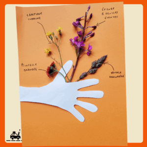 Un herbier original composé de 4 fleurs de montagne collées sur du papier coloré, une main d'enfant découpée dans du papier et collée par dessus et le nom des fleurs inscrit au feutre noir.