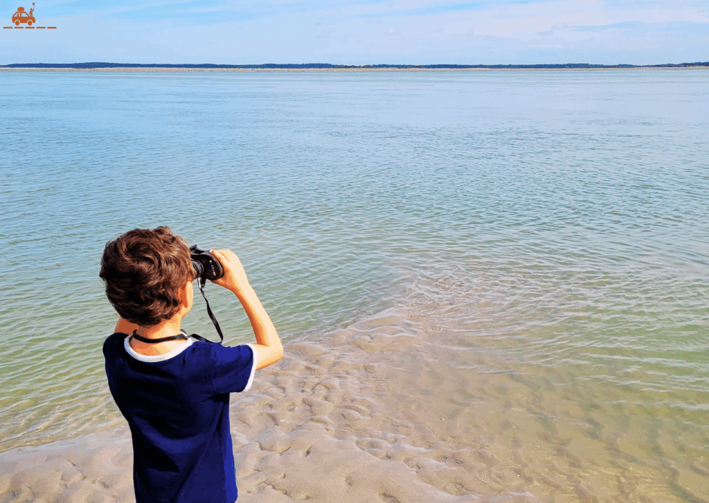 Les enfants adorent observer les phoques à la jumelle à la Pointe du Hourdel, en Baie de Somme, dans le Nord de la France. 