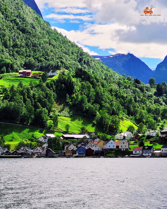 Croisière sur le Nærøyfjord en Norvège