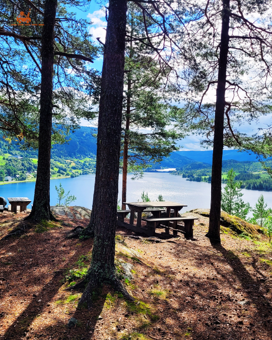 Forêt et table de pique-nique avec vue sur le fjord en Norvège