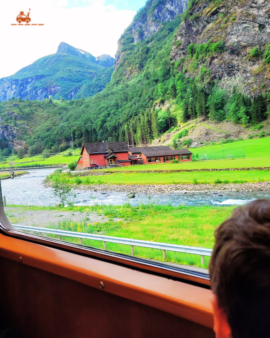 Enfant qui regarde par la fenêtre du petit train touristique de Flåm en Norvège
