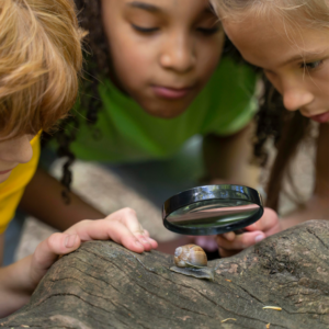 Livres, Jeux et Activités pour enfants sur les Sciences et la Nature