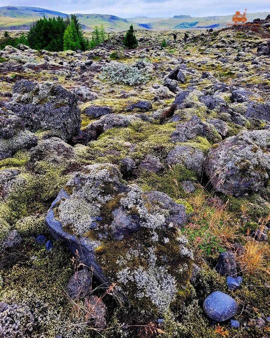 Eldhraun, la plus grande coulée de lave de la planète dans le sud de l'Islande